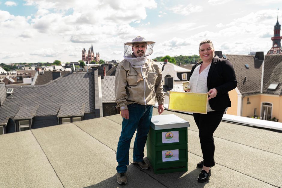 Limburger Kreissparkassen-Bienen